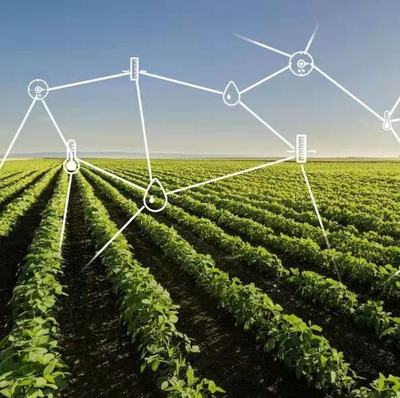 大力推动乡村文化振兴与农业技术开发的双轮驱动