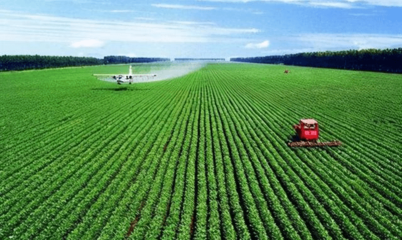 湖北农村致富新路径 农业技术开发引领产业升级