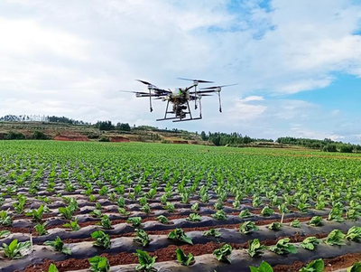 深入贯彻落实新发展理念 开创云南烟叶高质量发展新局面